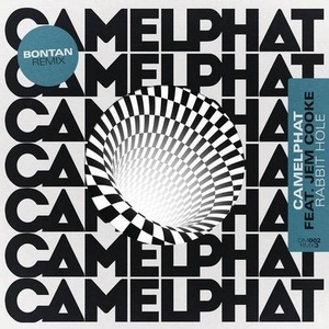 CamelPhat, Jem Cooke - Rabbit Hole (Bontan Remix) [G0100042224258]