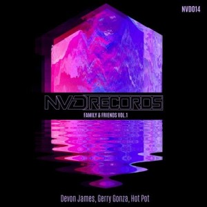 Family & Friends, Vol. 1 [NVD014]