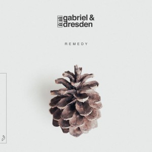 Gabriel & Dresden - Remedy [ANJCD076]