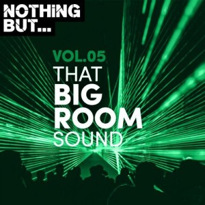 Nothing But... That Big Room Sound, Vol. 05 [NBTBRS05]