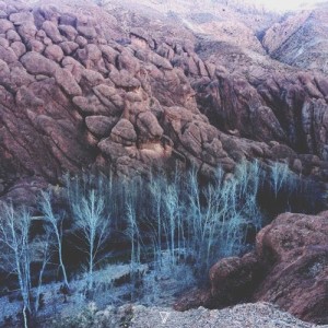 Pablo Bolivar - Low Ratio / Evolve [7V076D1]