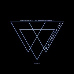 VA - Deliberate Mistakes 16 [WHLTD143]