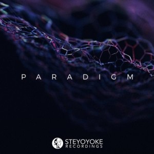 VA - Steyoyoke Paradigm, Vol. 06 [SYYKPARA006]
