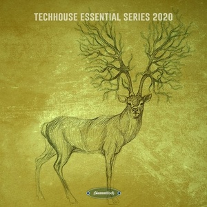 VA - Techhouse Essential Series 2020 [STT062]