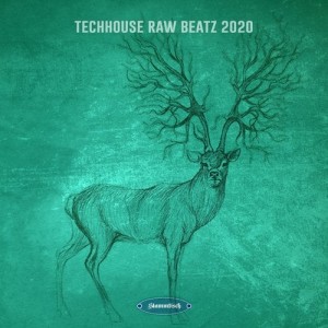 VA - Techhouse Raw Beatz 2020 [STT064]