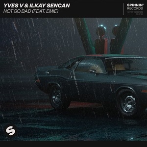 Yves V, Ilkay Sencan - Not So Bad (feat. Emie) [190295290696]
