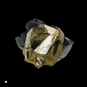 Amirali Shakoori - Ivory [WOUT081]