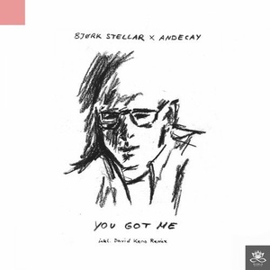 Bjørk Stellar - You Got Me [CAT360010]