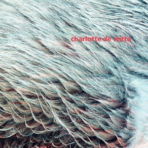 Charlotte De Witte - Vision EP [FIGUREX17]