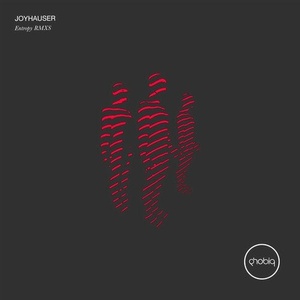 Joyhauser - Entropy RMXS [PHOBIQ0227D]