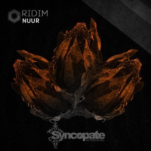 Nüur - Ridim [CAT339018]