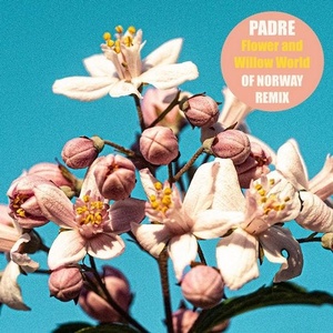 Padre - Flower And Willow World (Of Norway Version) [CNS106RMX]