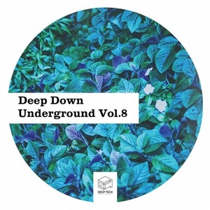 VA - Deep Down Underground Vol.8 [DTR252]