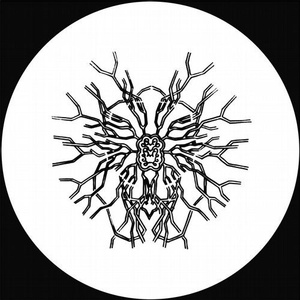 PTTRN - Acta Non Verba [MT28]