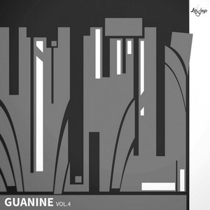 VA - Guanine ,vol.4 [LP295]
