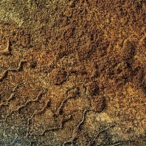 VA - Velvet Desert Music Vol. 2 [KOMPAKTCD156D]