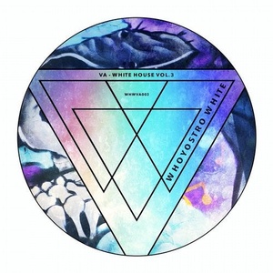 VA - White House Vol. 3 [WHWVA003]