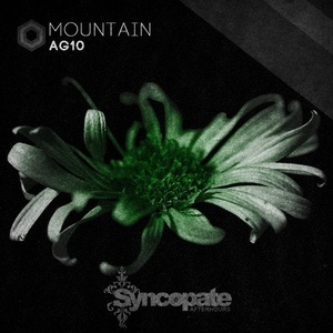 AG10 - Mountain [CAT350629]