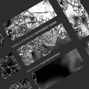 Danilo Schneider - Different Views [VINYL015]