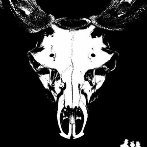 Gabi Urzay - Animal [DFR299]