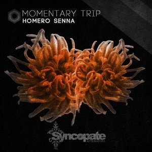 Homero Senna - Momentary Trip [CAT349569]