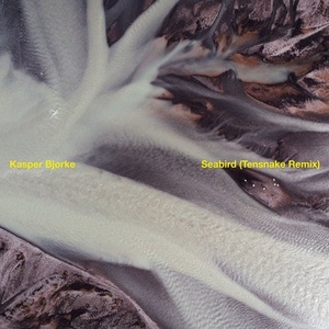 Kasper Bjørke - Seabird (Tensnake Remix) [HFN113BP]