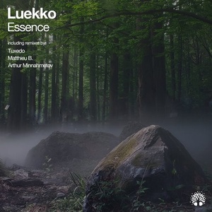 Luekko - Essence [ETREE366]