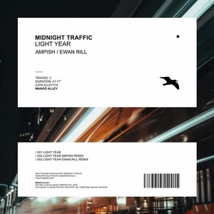 Midnight Traffic - Light Year [ALLEY114]
