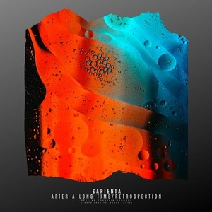 Sapienta - After a Long Time / Retrospection [SFR404]