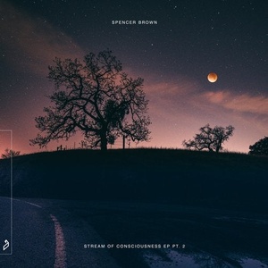 Spencer Brown - Stream of Consciousness EP pt. 2 [ANJ616BD]