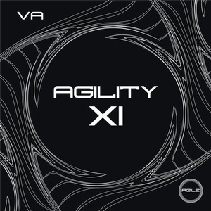 VA - Agility XI [AGILE110]