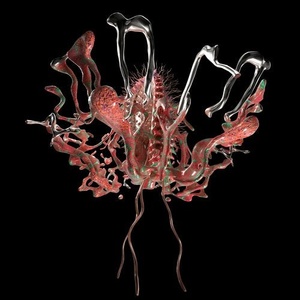VA - Dixon Presents Transmoderna [IVTM2X]
