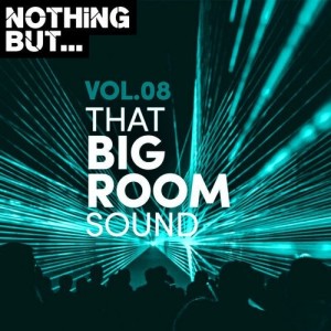 VA - Nothing But... That Big Room Sound, Vol. 08 [NBTBRS08]