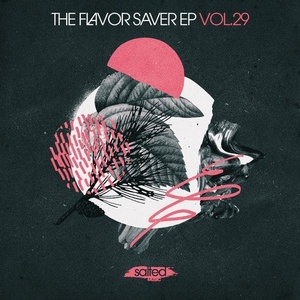 VA - The Flavor Saver, Vol. 29 [SLT179]