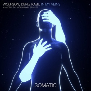 Wolfson, Deniz Kabu - In My Veins [SMTC037]