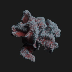 Aera - Prana EP [IV93]