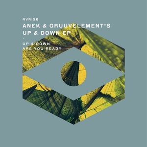 Anek, GruuvElement's - Up and Down EP [NVR126]