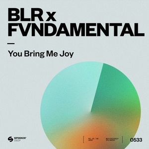 BLR, FVNDAMENTAL - You Bring Me Joy [190295216146]