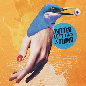 Better Lost Than Stupid - Wild Slide [4050538616279]