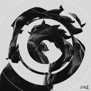 Kaufmann (DE) - Black Horsey [EIN2054]