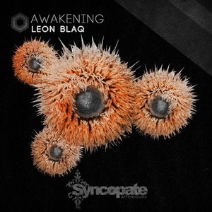 Leon Blaq - Awakening [CAT368269]