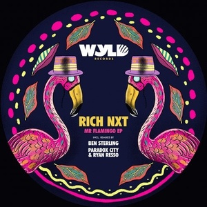 Rich NXT - Mr Flamingo [WYL001B]