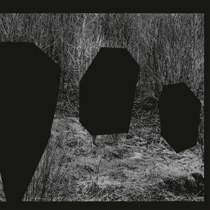 Roman Flugel, Daniel Avery, Noun - Meeting Of The Minds [PLAYRJC059D]