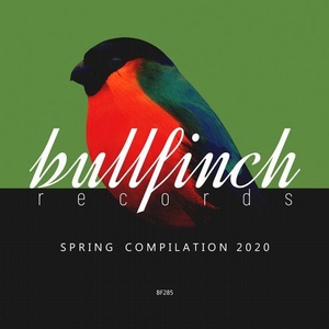 VA - Bullfinch Spring 2020 Compilation [BF285]
