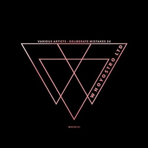 VA - Deliberate Mistakes 24 [WHLTD151]