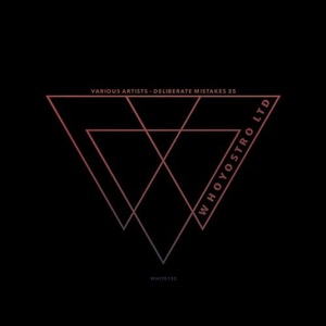 VA - Deliberate Mistakes 25 [WHLTD152]