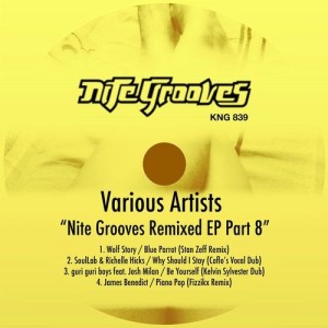 VA - Nite Grooves Remixed EP, Pt. 8 [KNG839]