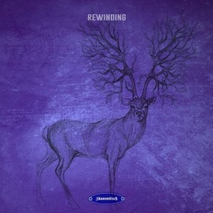 VA - Rewinding [STT077]