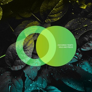 Zacharias Tiempo - Gold and Freeze [AVE027]