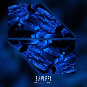 D.Jameson - Voyager [SFR411]